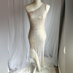 ⭐️⭐️GLAMOROUS IRIDESCENT SEQUIN + FRINGE DRESS | Size S ⭐️⭐️